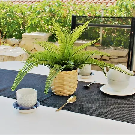 Guest house House Rukavac
